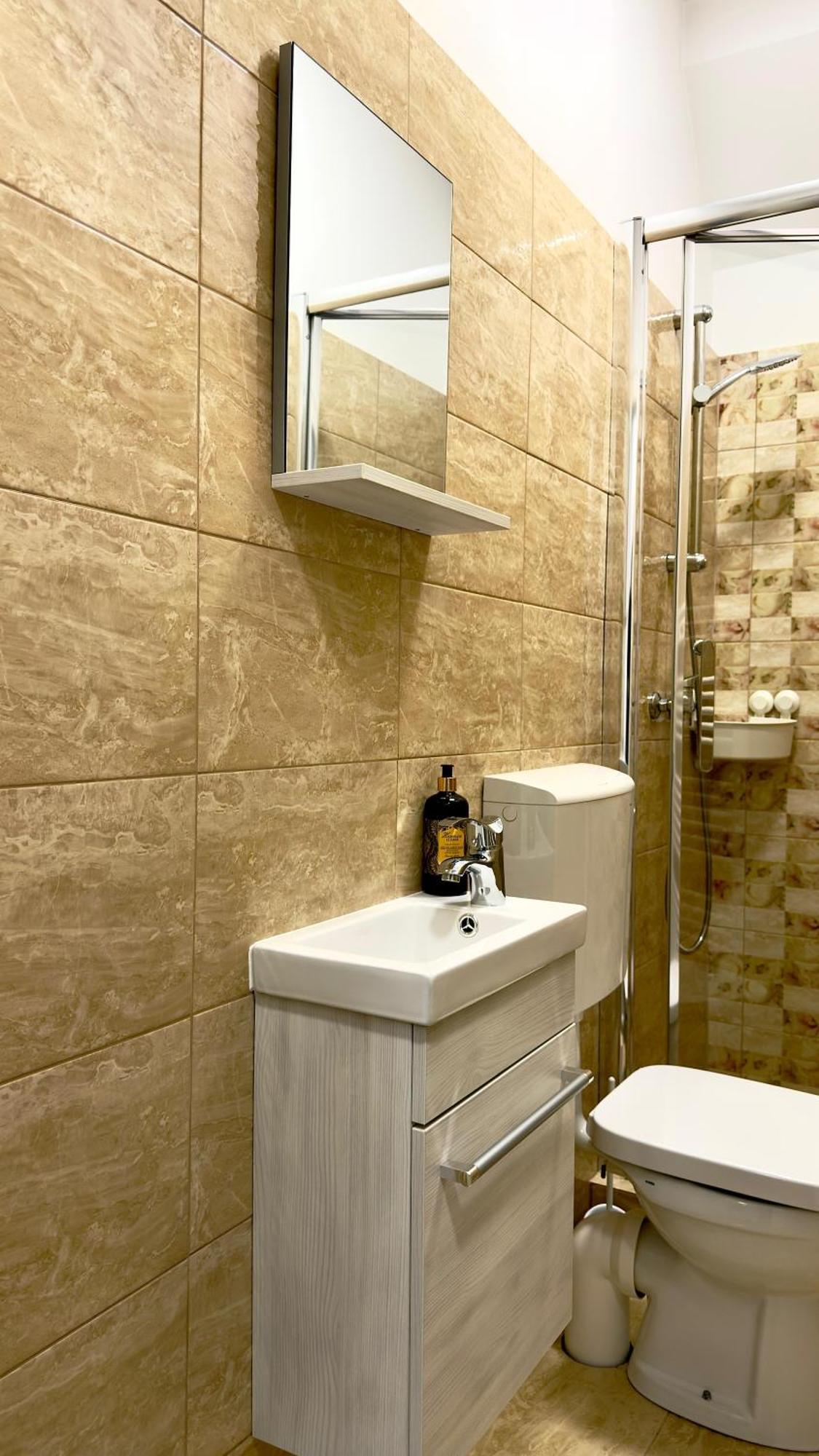 Phoenix Central Apartments Sibiu Exterior photo